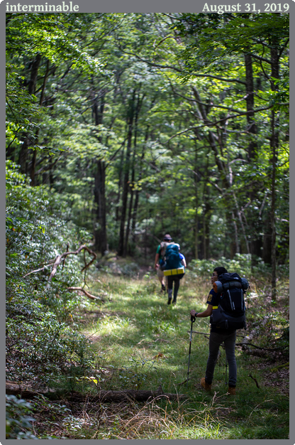 interminable, taken 2019-08-31 || Canon Canon EOS 6D | 100mm | 1/320s @ f/2.8