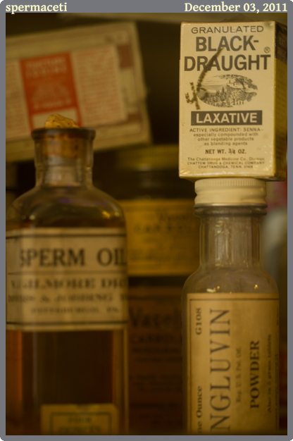 spermaceti, taken 2011-12-03 || Canon Canon EOS REBEL T2i | 100mm | 1/25s @ f/2.8