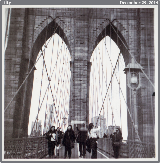 tilty, taken 2014-12-29 || Canon Canon EOS 6D | 100mm | 1/30s @ f/2.8