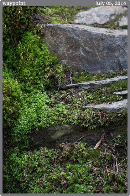 waypoint, taken 2014-07-05 || Canon Canon EOS REBEL T2i | 100mm | 1/80s @ f/3.5