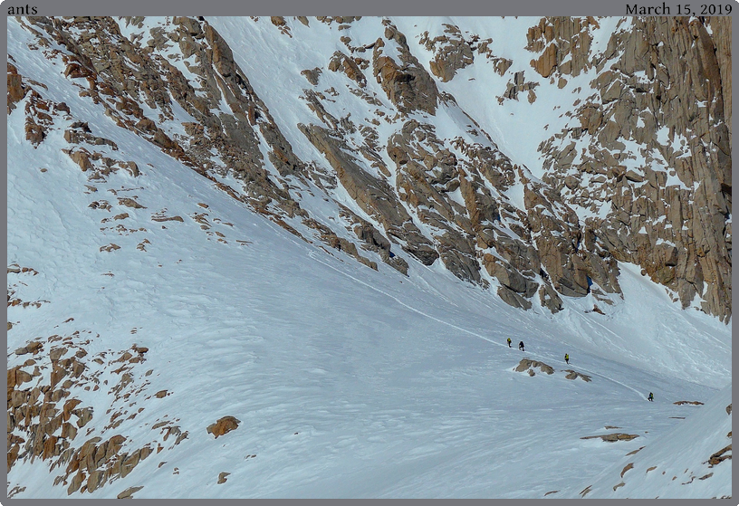 ants, taken 2019-03-15 || Panasonic DC-ZS200 | 585mm | 1/5000s @ f/5.8