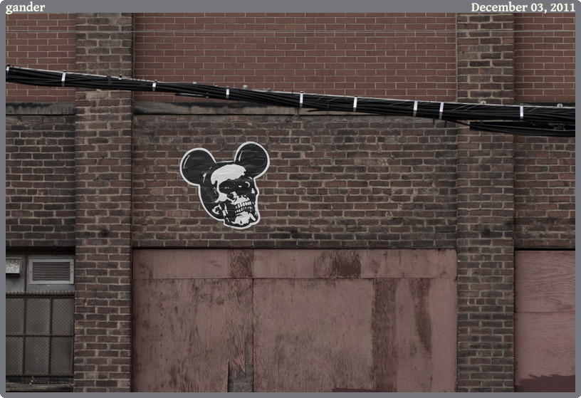 gander, taken 2011-12-03 || Canon Canon EOS REBEL T2i | 100mm | 1/100s @ f/4.5