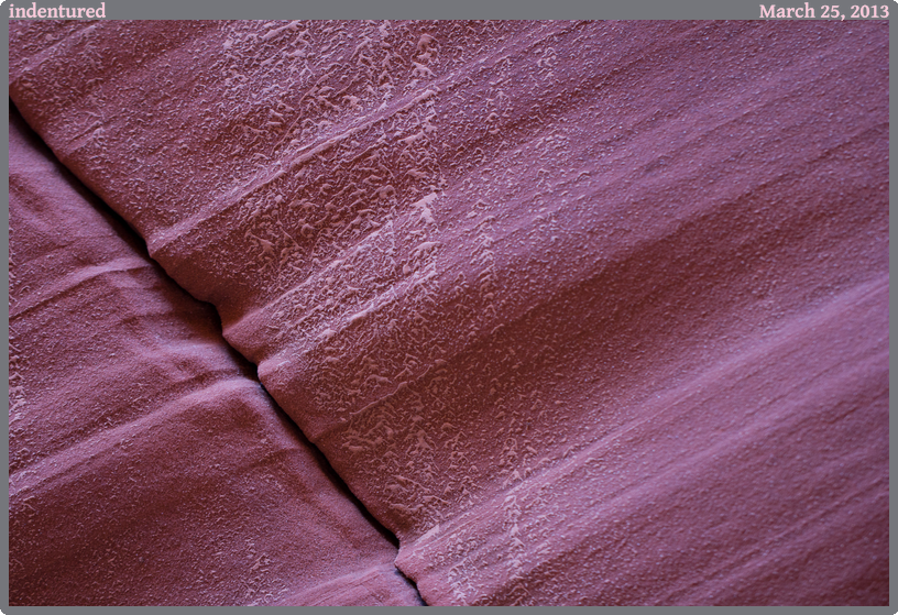 indentured, taken 2013-03-25 || Canon Canon EOS REBEL T2i | 100mm | 1/50s @ f/2.8