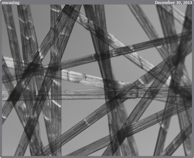 encasing, taken 2013-12-30 || Canon Canon EOS REBEL T2i | 100mm | 1/25s @ f/3.2