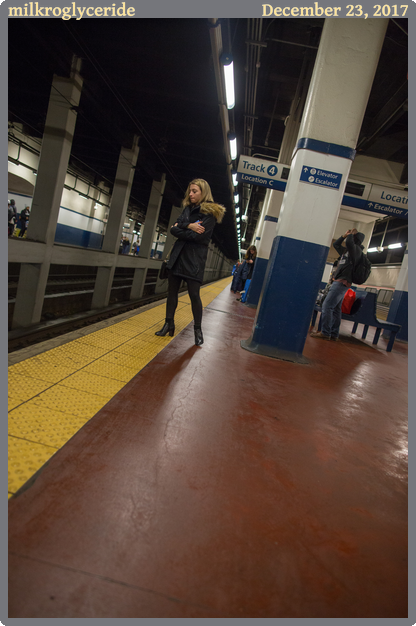 milkroglyceride, taken 2017-12-23 || Canon Canon EOS 6D | 24mm | 1/250s @ f/2.5