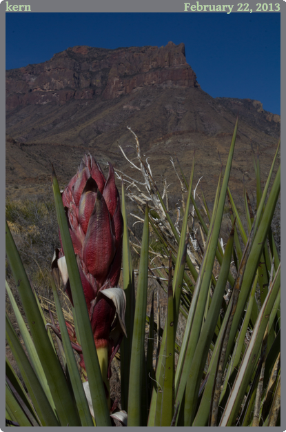 kern, taken 2013-02-22 || Canon Canon EOS REBEL T2i | 47mm | 1/60s @ f/32