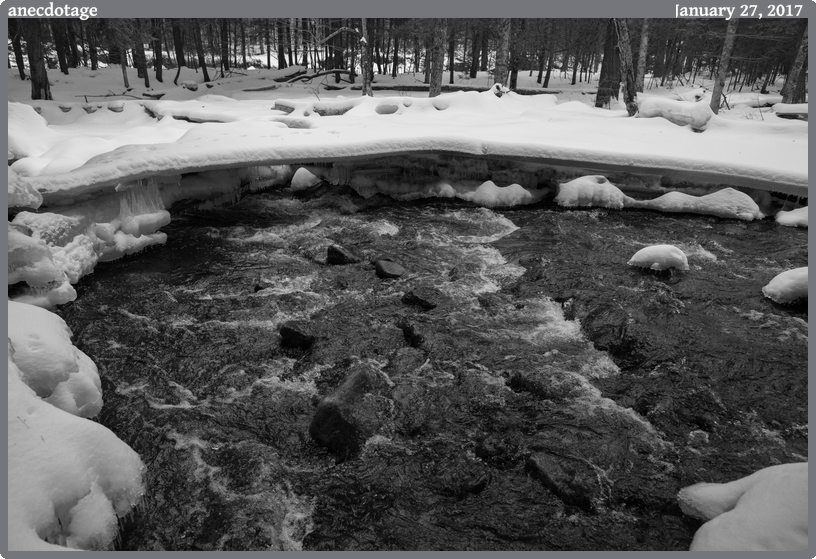 anecdotage, taken 2017-01-27 || Canon Canon EOS 6D | 24mm | 1/640s @ f/5