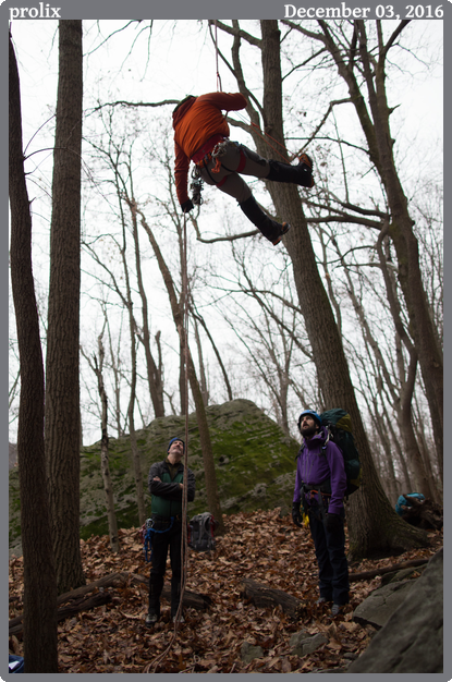 prolix, taken 2016-12-03 || Canon Canon EOS 6D | 24mm | 1/1250s @ f/2