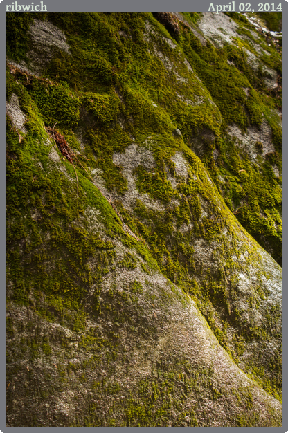 ribwich, taken 2014-04-02 || Canon Canon EOS REBEL T2i | 40mm | 1/30s @ f/5.6