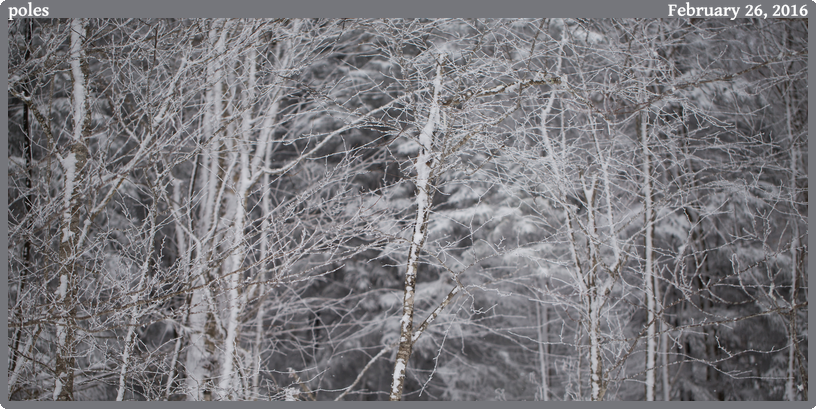 poles, taken 2016-02-26 || None None | None | None @ None