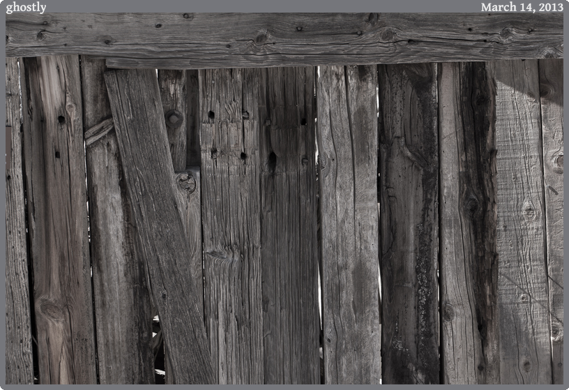 ghostly, taken 2013-03-14 || Canon Canon EOS REBEL T2i | 100mm | 1/125s @ f/5.6