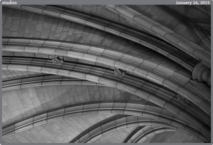 studies, taken 2015-01-26 || Canon Canon EOS 6D | 100mm | 1/30s @ f/2.8