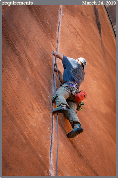 requirements, taken 2019-03-24 || Panasonic DC-ZS200 | 389mm | 1/100s @ f/5.3