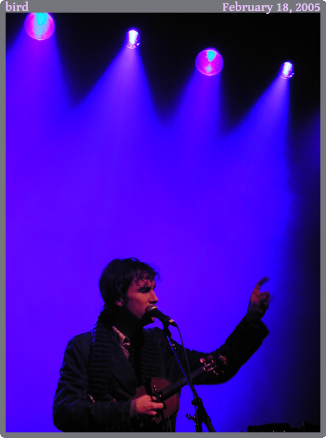 bird, taken 2005-02-18 || NIKON E950 | 16 | 1/60s @ f/3.6