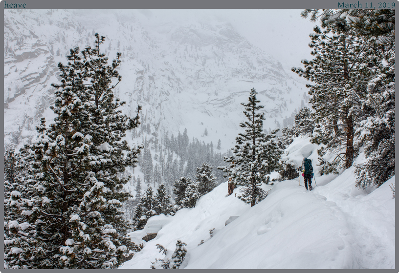 heave, taken 2019-03-11 || Canon Canon EOS REBEL T2i | 25mm | 1/200s @ f/8
