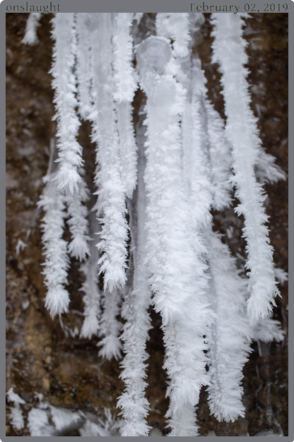 onslaught, taken 2019-02-02 || Canon Canon EOS 6D | 100mm | 1/80s @ f/4