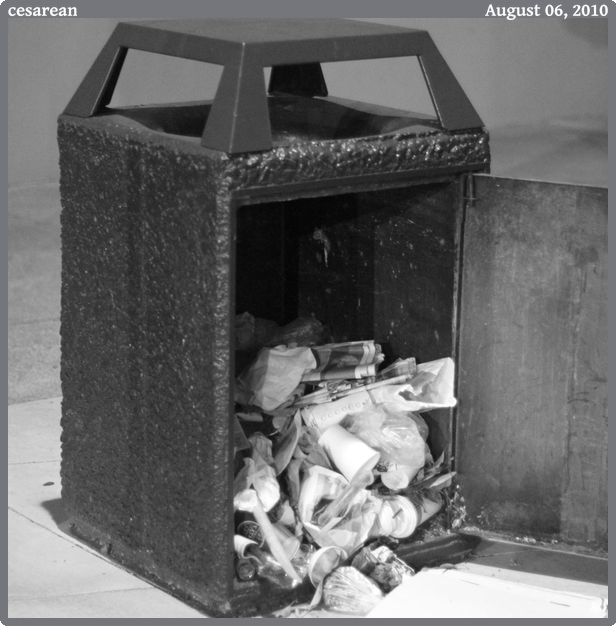 cesarean, taken 2010-08-06 || Canon Canon EOS REBEL T2i | 50mm | 1/25s @ f/1.4