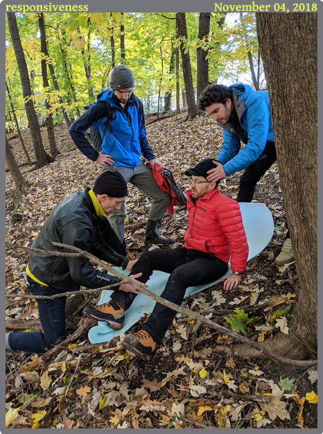 responsiveness, taken 2018-11-04 || Google Pixel 2 | 4442mm | 1/125s @ f/1.8