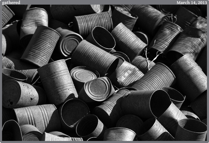 gathered, taken 2013-03-14 || Canon Canon EOS REBEL T2i | 100mm | 1/160s @ f/5.6