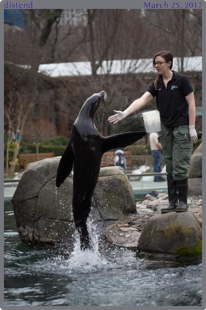 distend, taken 2017-03-25 || Canon Canon EOS 6D | 100mm | 1/640s @ f/2.8