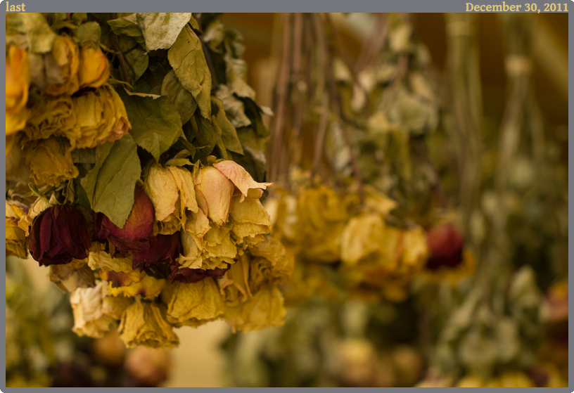 last, taken 2011-12-30 || Canon Canon EOS REBEL T2i | 100mm | 4/10s @ f/2.8