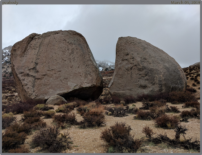 peabody, taken 2019-03-05 || Google Pixel 2 | 4442mm | 1/230s @ f/1.8