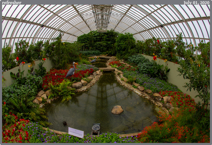 refresher, taken 2020-07-01 || Canon Canon EOS REBEL T2i | 10mm | 1/40s @ f/13