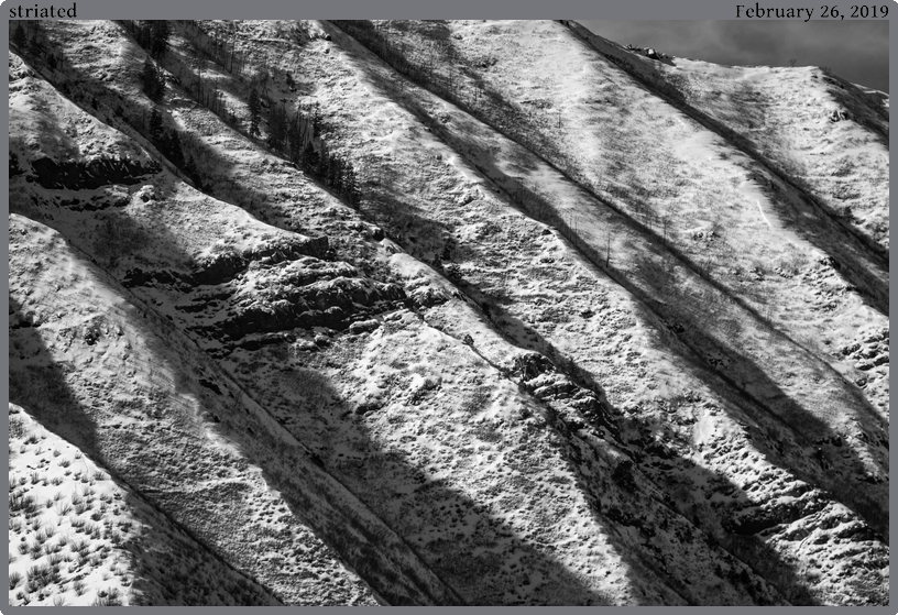 striated, taken 2019-02-26 || Canon Canon EOS REBEL T2i | 100mm | 1/2500s @ f/2.8