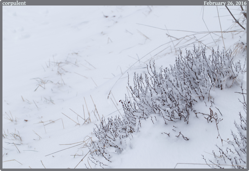 corpulent, taken 2016-02-26 || None None | None | None @ None