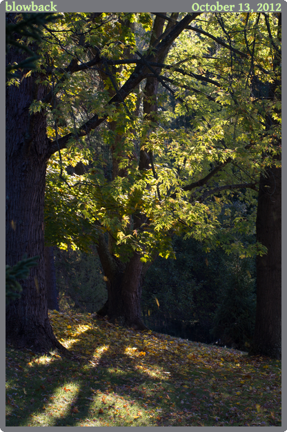 blowback, taken 2012-10-13 || Canon Canon EOS REBEL T2i | 100mm | 1/30s @ f/9