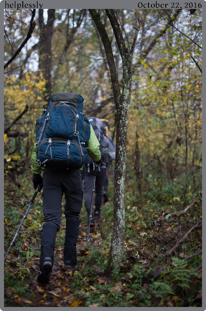 helplessly, taken 2016-10-22 || Canon Canon EOS 6D | 50mm | 1/200s @ f/2