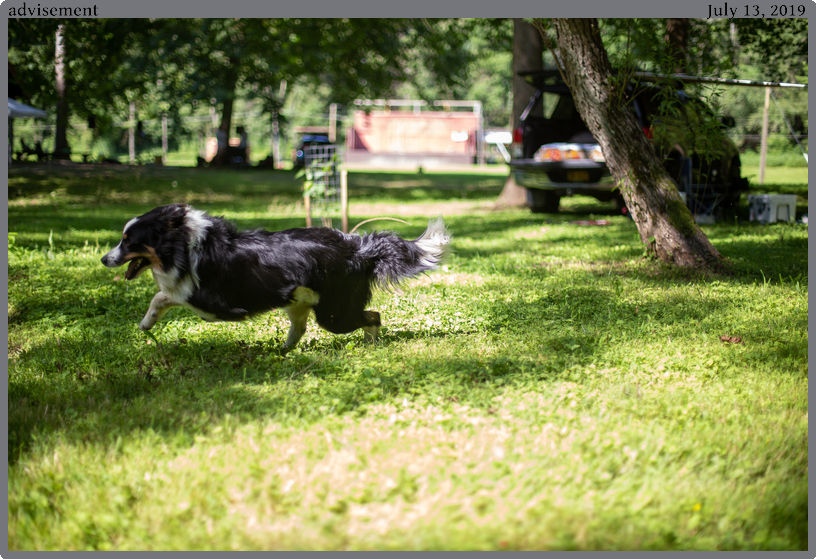 advisement, taken 2019-07-13 || Canon Canon EOS 6D | 50mm | 1/2000s @ f/1.4
