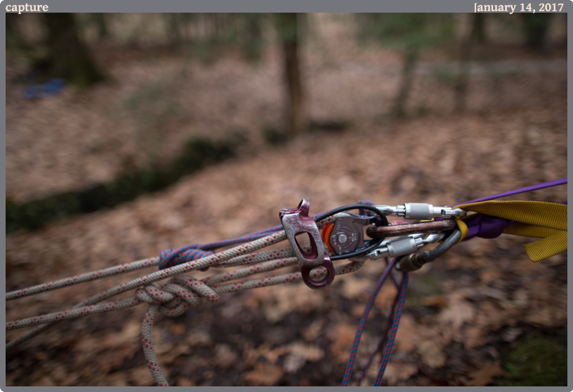 capture, taken 2017-01-14 || Canon Canon EOS 6D | 24mm | 1/1250s @ f/1.4