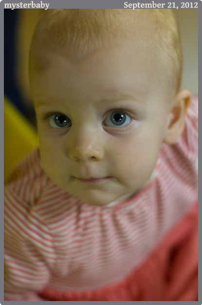 mysterbaby, taken 2012-09-21 || Canon Canon EOS REBEL T2i | 50mm | 1/80s @ f/1.8
