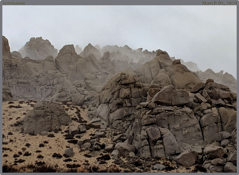 remission, taken 2019-03-05 || Google Pixel 2 | 4442mm | 1/310s @ f/1.8