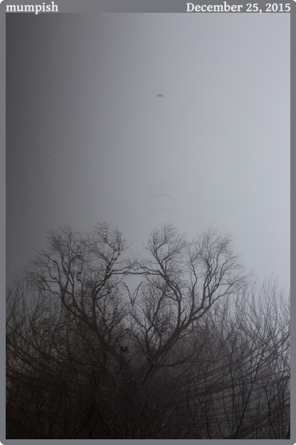 mumpish, taken 2015-12-25 || None None | None | None @ None