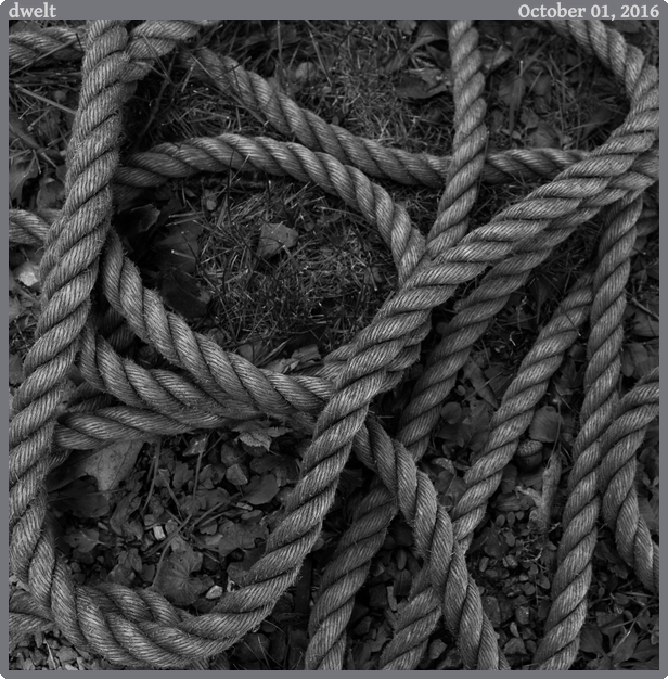 dwelt, taken 2016-10-01 || Canon Canon EOS 6D | 24mm | 1/60s @ f/4.5