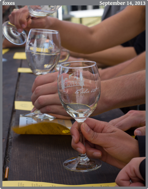 foxes, taken 2013-09-14 || Canon Canon EOS REBEL T2i | 50mm | 1/80s @ f/8