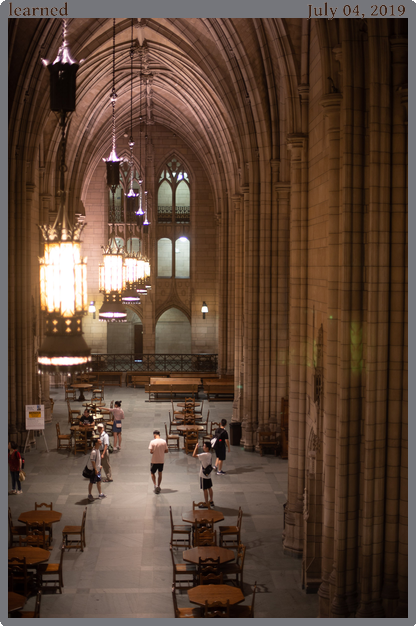 learned, taken 2019-07-04 || Canon Canon EOS 6D | 50mm | 1/40s @ f/1.4